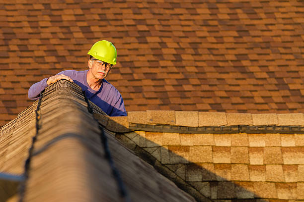 Best Roof Gutter Cleaning  in Martinez, GA